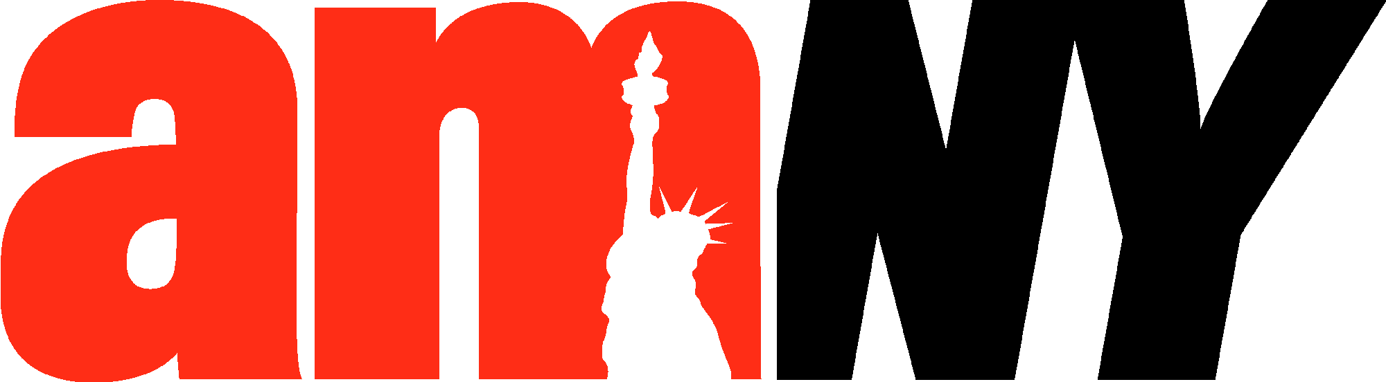 amNewYork logo