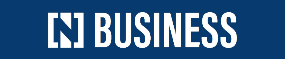 N Buisness logo
